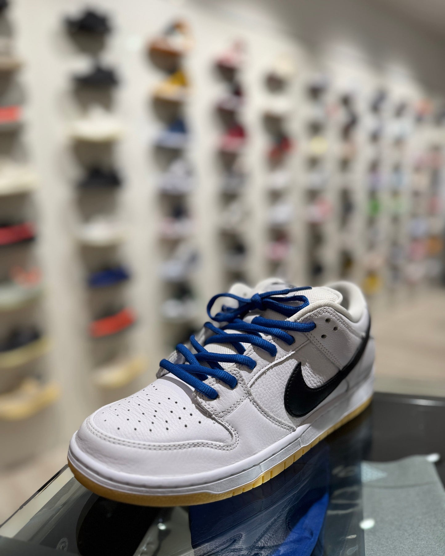SB Laces Blue