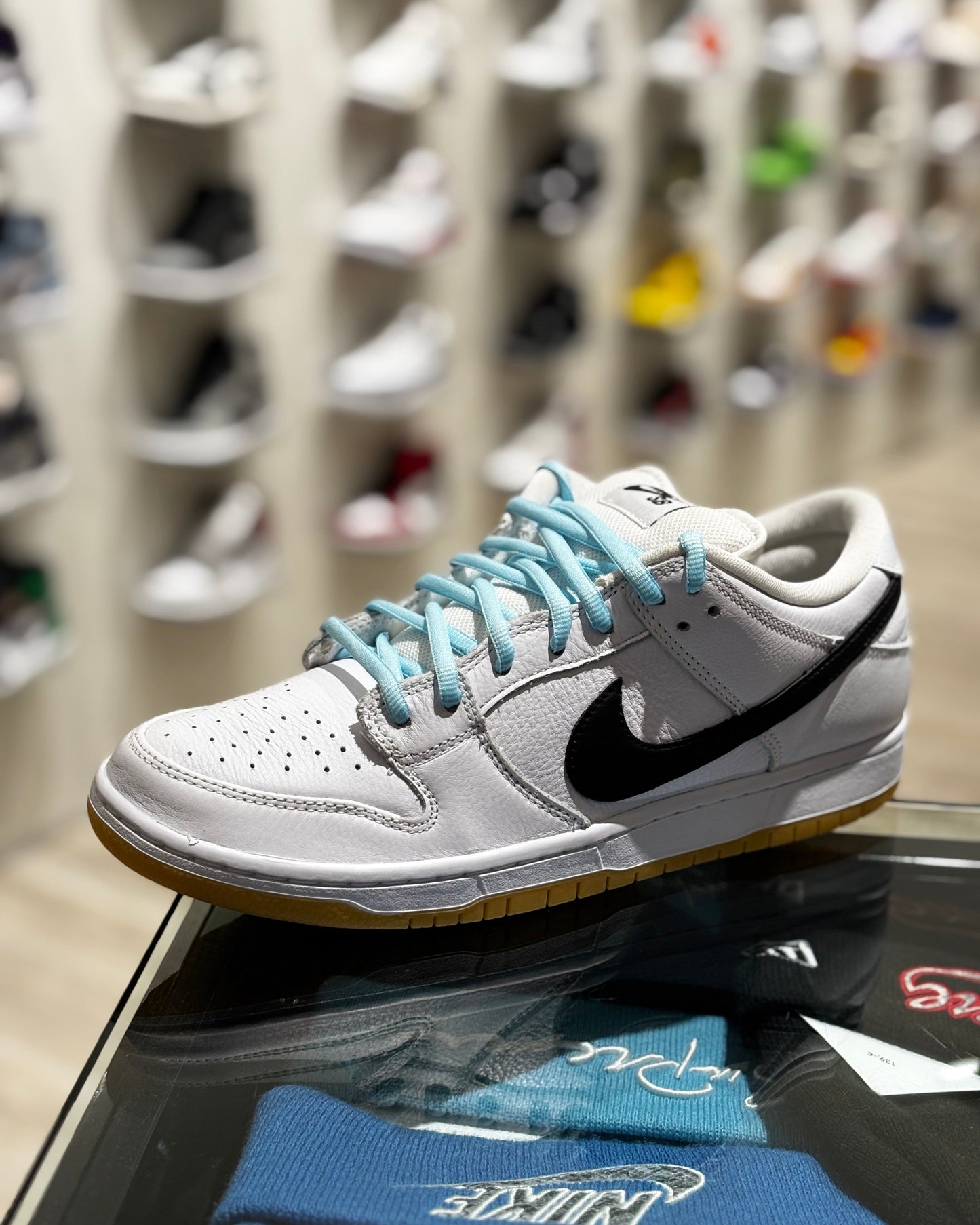 SB Laces Light Blue