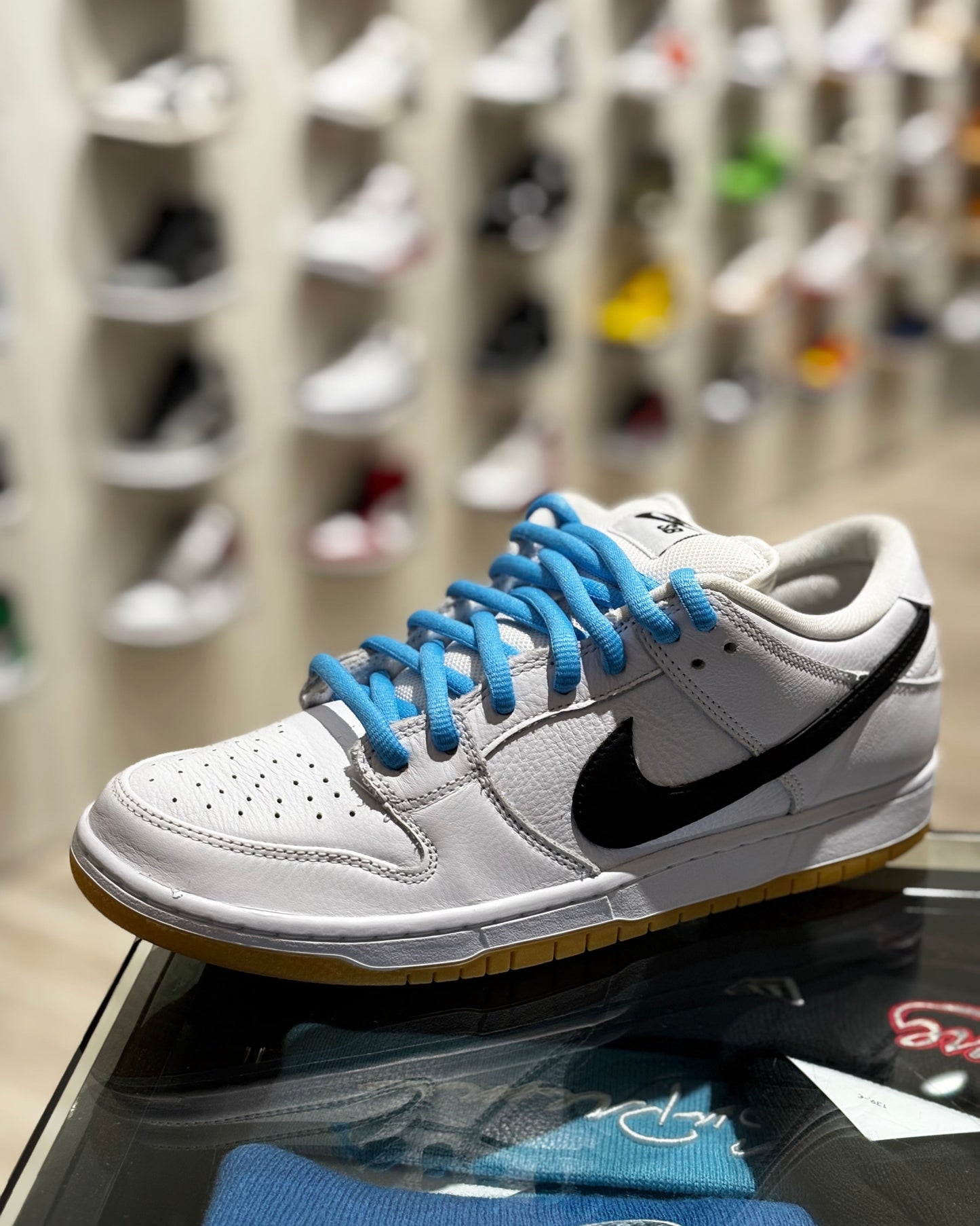 SB Laces Sky Blue